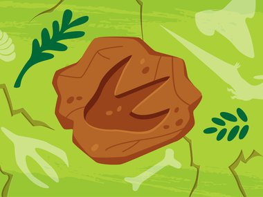 decorative image of a foot print in the dirt from a prehistoric creature.jpg